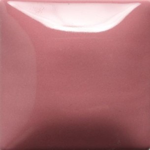 STROKE & COAT SC17 *TAMAÑO PINTA 473 ML