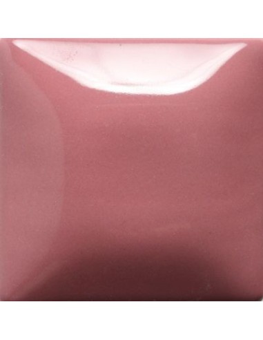 STROKE & COAT SC17 *TAMAÑO PINTA 473 ML