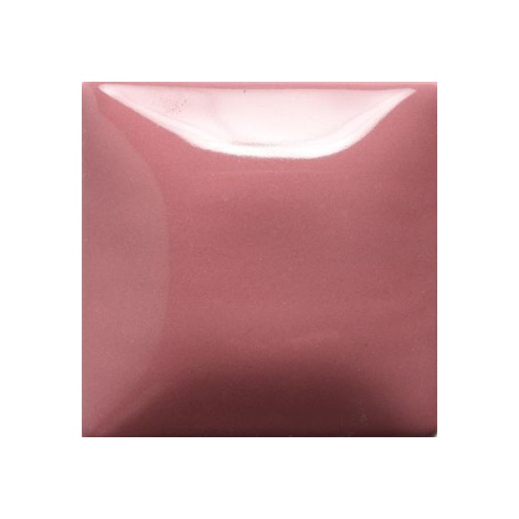 STROKE & COAT SC17 *TAMAÑO PINTA 473 ML