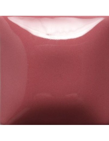 STROKE & COAT SC18 *TAMAÑO PINTA 473 ML