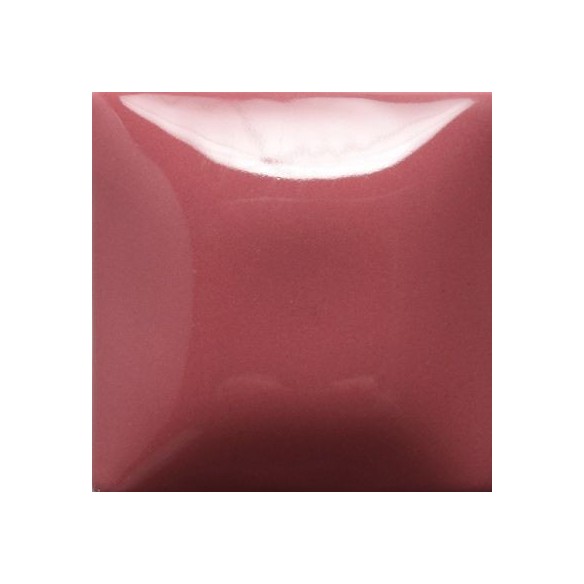 STROKE & COAT SC18 *TAMAÑO PINTA 473 ML