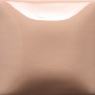 STROKE & COAT SC20 *TAMAÑO PINTA 473 ML