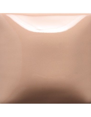 STROKE & COAT SC20 *TAMAÑO PINTA 473 ML