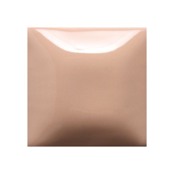 STROKE & COAT SC20 *TAMAÑO PINTA 473 ML