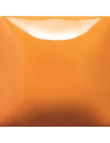 STROKE & COAT SC23 *TAMAÑO PINTA 473 ML