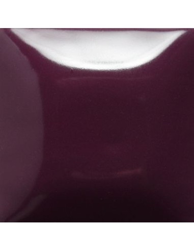 STROKE & COAT SC40 *TAMAÑO PINTA 473 ML