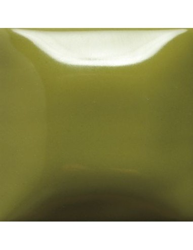 STROKE & COAT SC52 *TAMAÑO PINTA 473 ML