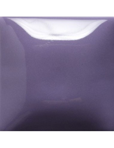 STROKE & COAT SC53 *TAMAÑO PINTA 473 ML