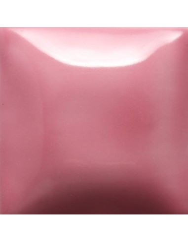 STROKE & COAT SC70 *TAMAÑO PINTA 473 ML