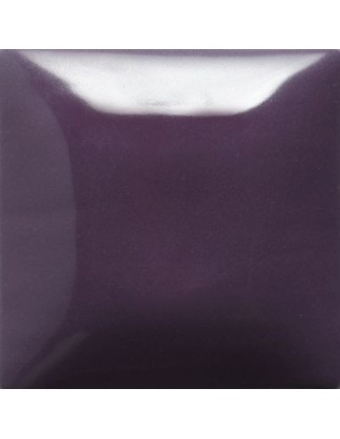 STROKE & COAT SC71 *TAMAÑO PINTA 473 ML