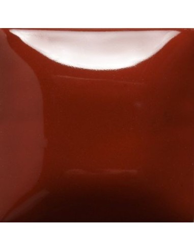 STROKE & COAT SC81 *TAMAÑO PINTA 473 ML