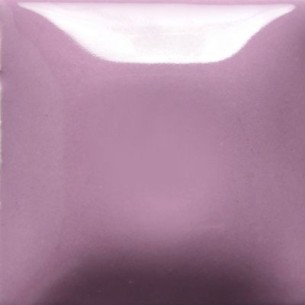 STROKE & COAT SC85 *TAMAÑO PINTA 473 ML