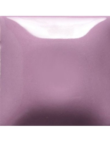 STROKE & COAT SC85 *TAMAÑO PINTA 473 ML
