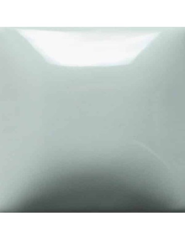 STROKE & COAT SC91 *TAMAÑO PINTA 473 ML