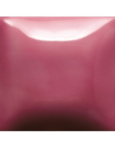 STROKE & COAT SC95 *TAMAÑO PINTA 473 ML