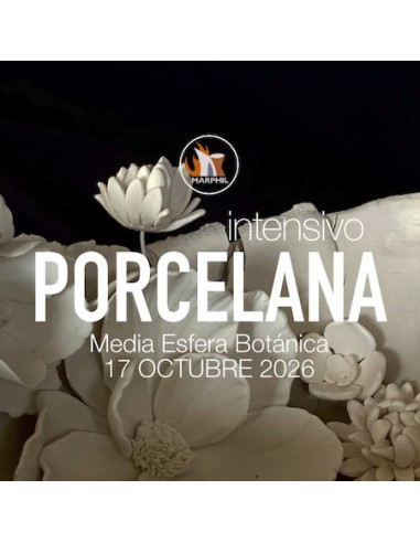 Curso Intensivo Media Esfera Botánica en Porcelana