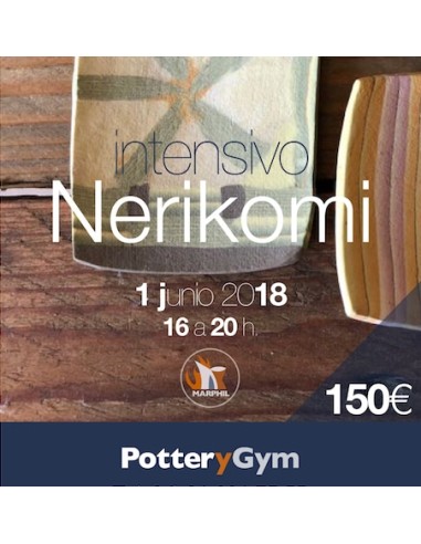 Curso Intensivo Nerikomi
