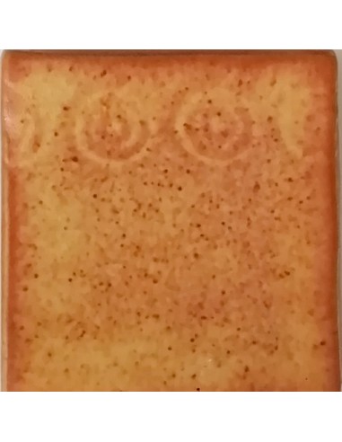 Esmalte Cuero Picas 5655 1 Kg.