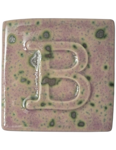 Esmalte Botz 9517 Brezo 200 ml.