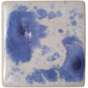 Esmalte Botz 9536 Cúmulo 200 ml.