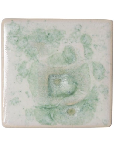 Esmalte Botz 9540 Rocío 200 ml.