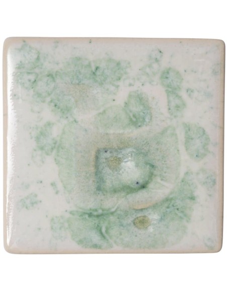 Esmalte Botz 9540 Rocío 200 ml.