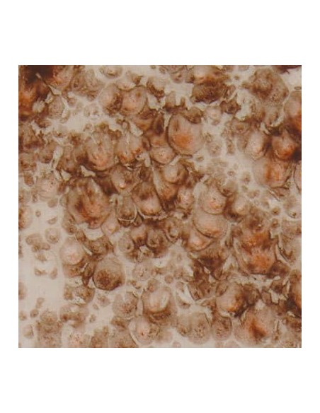 Esmalte Mayco Jungle Gems CG-795 Yadro Print 118 ml.