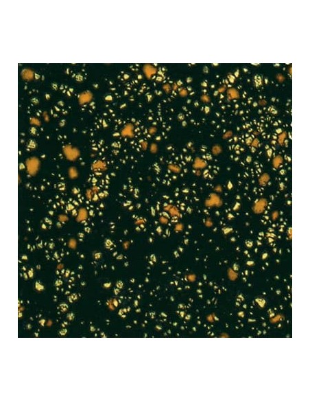 Esmalte Mayco Jungle Gems CG-798 Black Iris 118 ml.