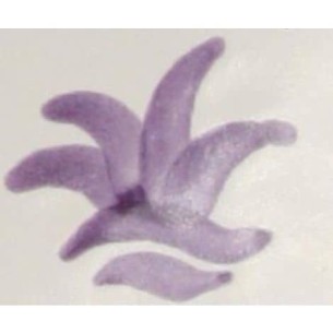CD-24 Óxido Colorante Sin Plomo MORADO 100 grs