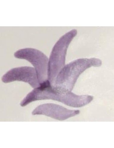 CD-24 Óxido Colorante Sin Plomo MORADO 100 grs