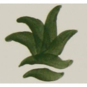 CD-14 Óxido Colorante Sin Plomo VERDE CROMO 100 grs