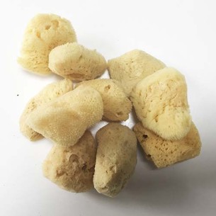 Esponjas naturales bolsa 10 ud.