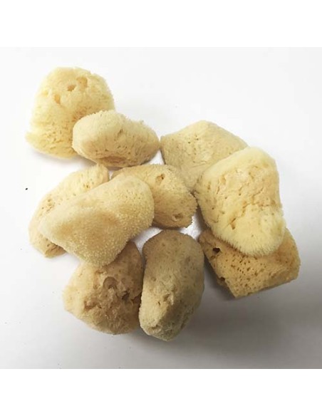 Esponjas naturales bolsa 10 ud.