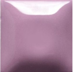 Stroke&Coat 473 ml. 16 oz.
