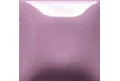 Stroke&Coat 473 ml. 16 oz.