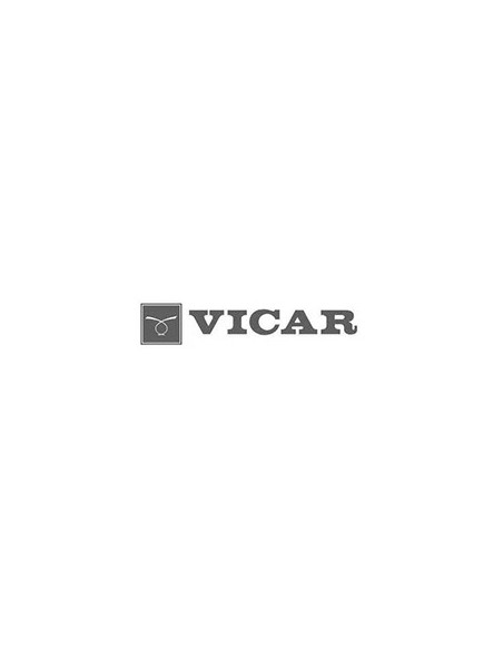 vicar